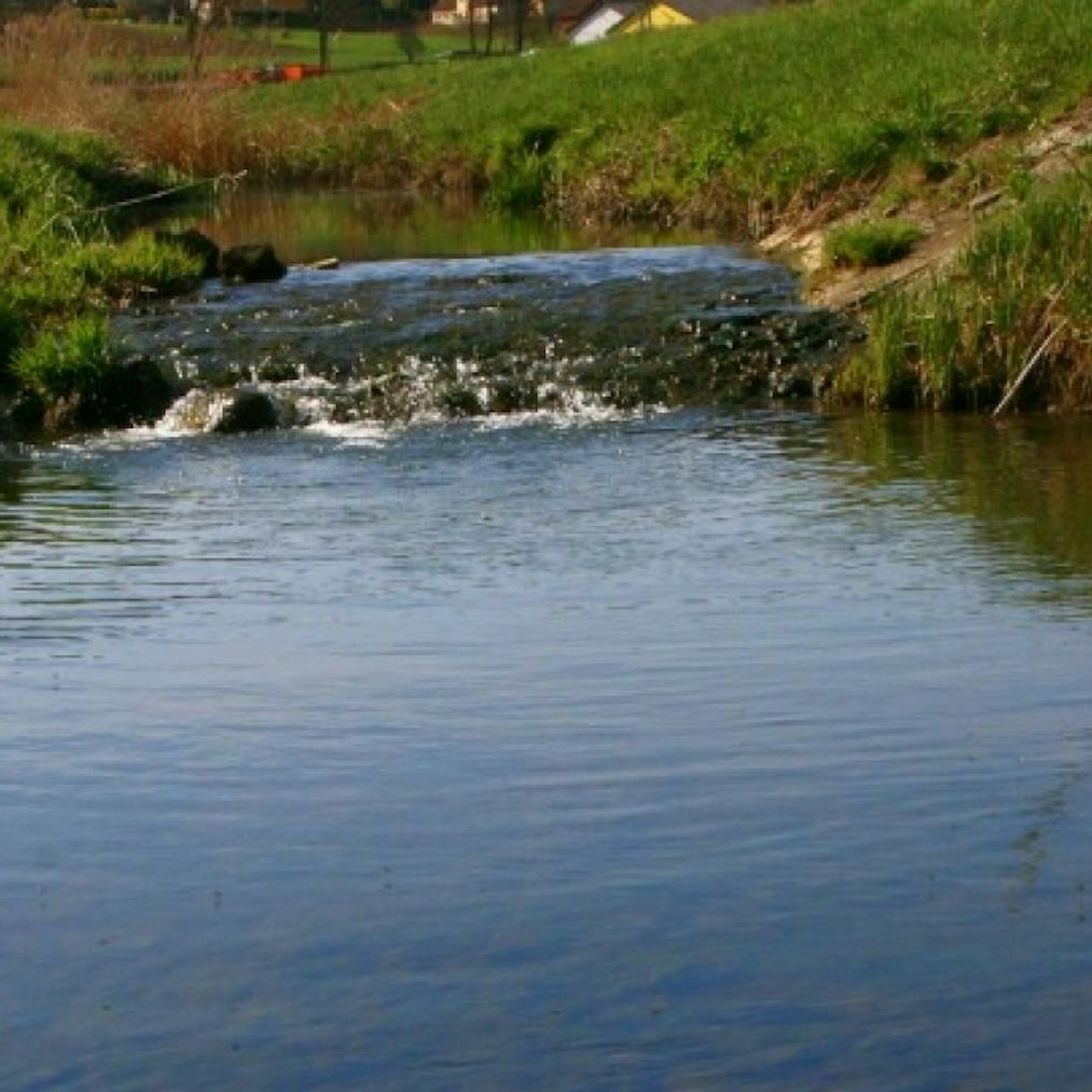 Globovnica Stream